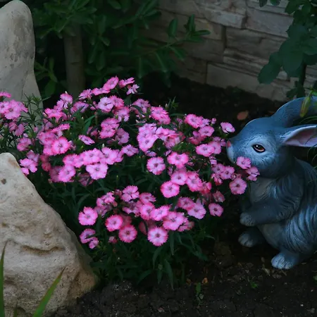 Luxor Лозенец