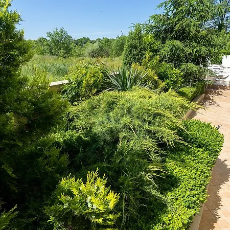 Luxor 3* Лозенец