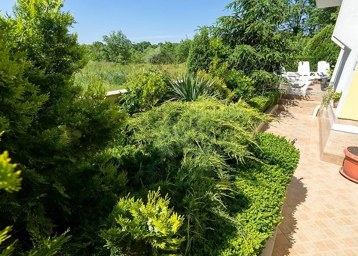 Luxor 3* 로제넷츠